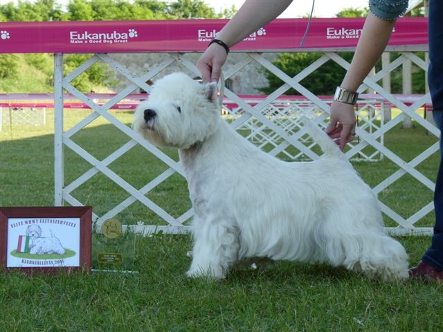 Klubova vystava Elite 11.6.2011
