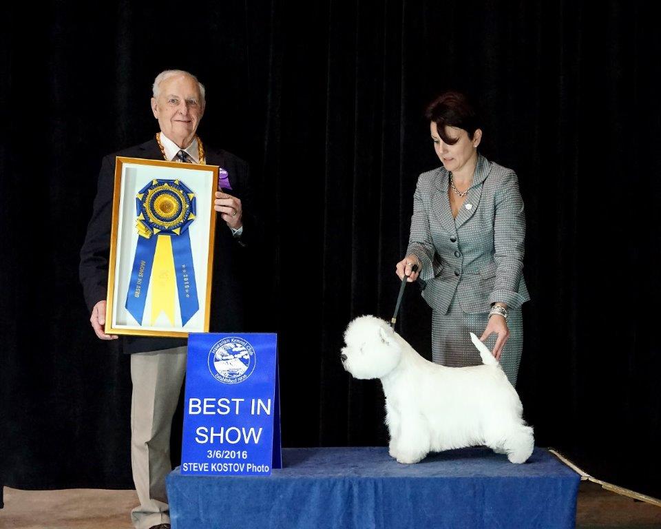 o nas west highland white terrier kennel 01